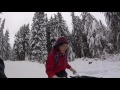 Snowshoeing on Gold Creek Trail