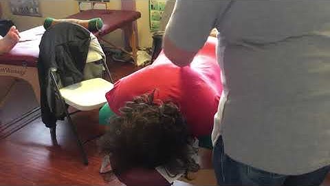 DNM: Segmental Nerves, Cutaneous Nerves and Rami of the Trunk; Prone Skin Stretch Technique