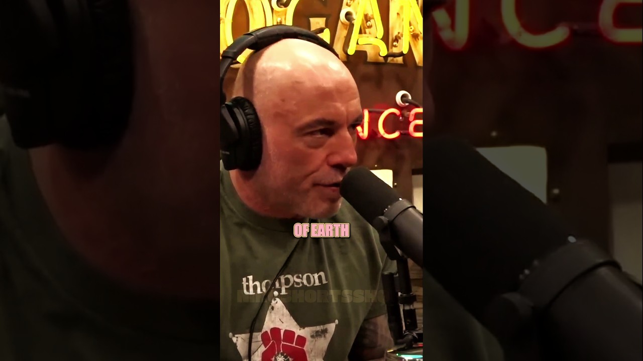 Texas Has More Tigers Than the Wild?!