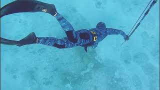 Lobster And Grouper In The Banamas