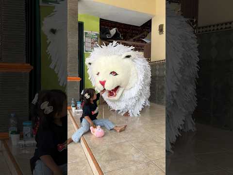 Alika kasih makan pisang untuk can macanan