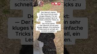Der Mensch denkt:... #heftig #flachwitz #lachen #witze