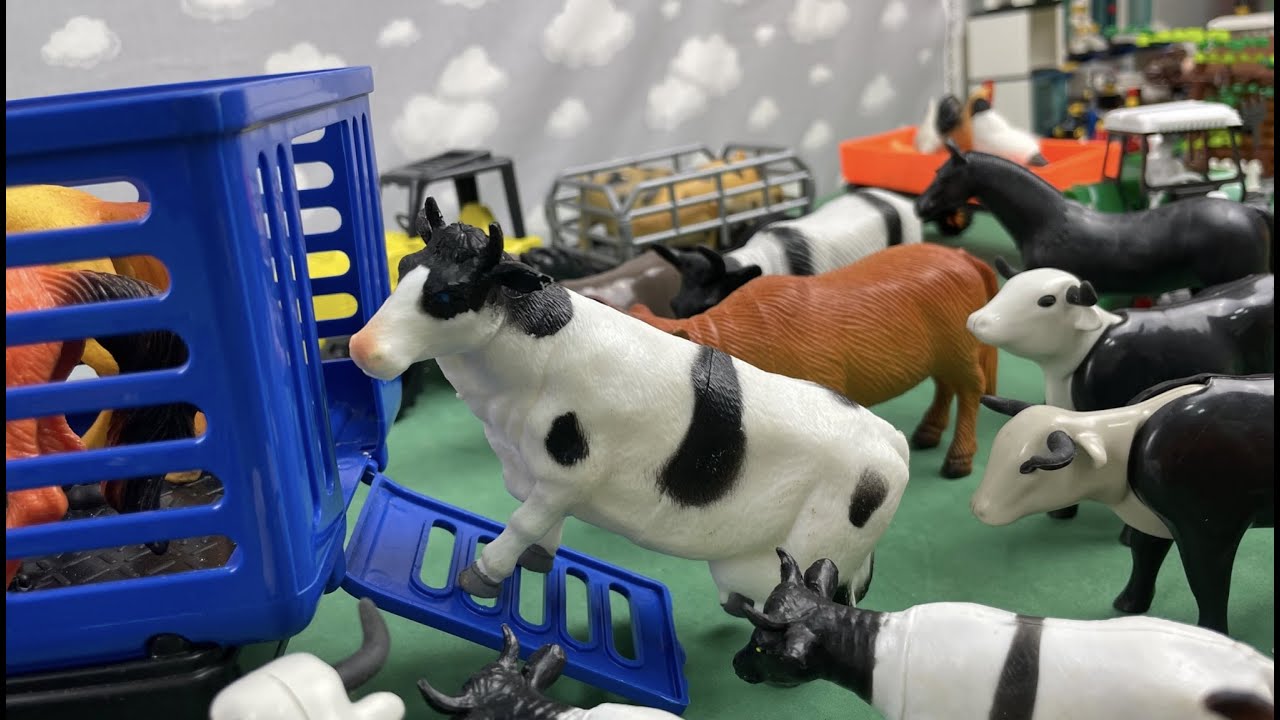 TRACTORS, CATTLE CART, DAIRY COWS, OXEN, HORSES / TRATOR, CARRETA DE GADO, VACA, CAVALOS, BOIS