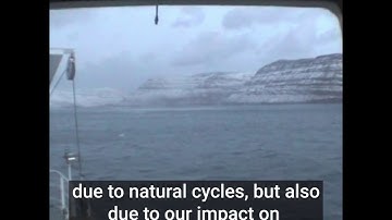 Conductivity Temperature Depth (CTD) Carousel Twitter film