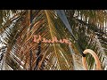 Living Local || Eleuthera, Bahamas Travel Vlog #1