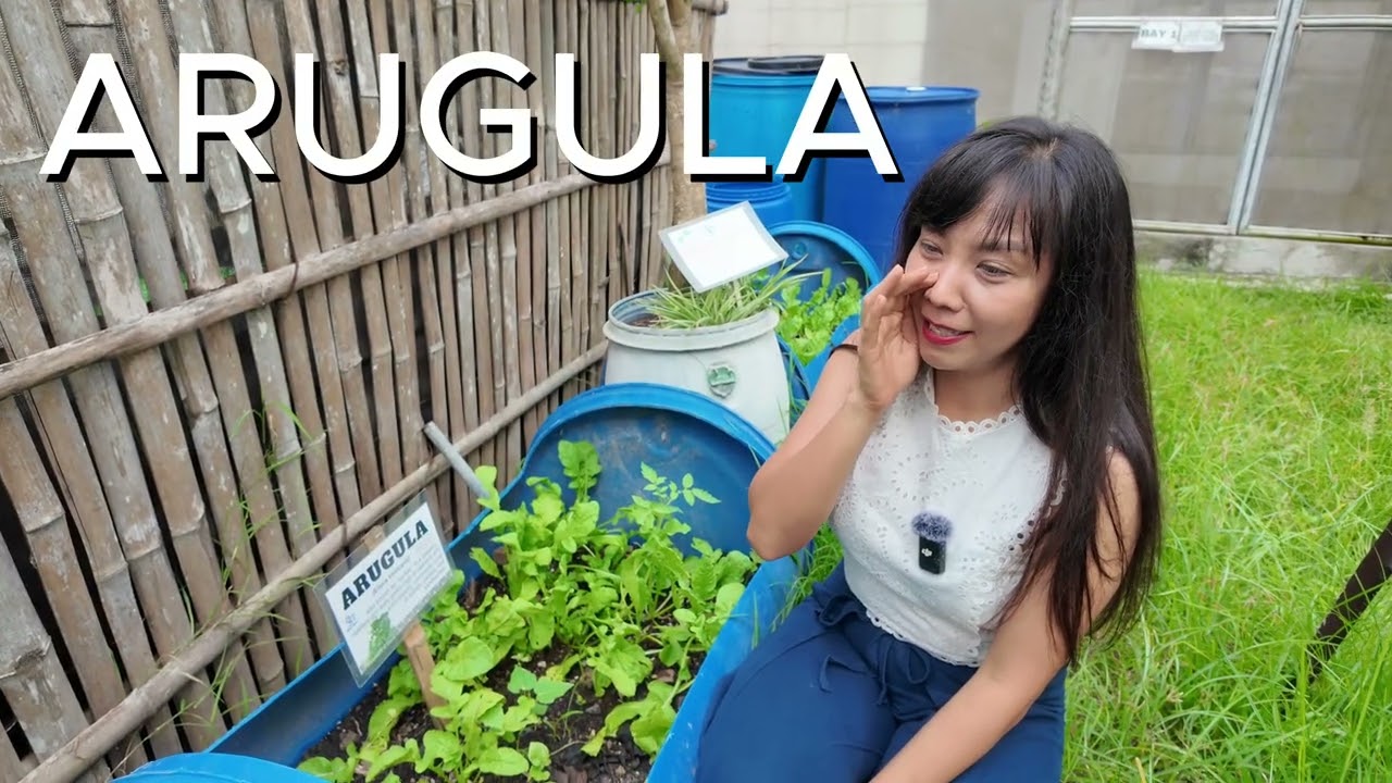 Discover the Power of Plant Medicines at Organikian Urban Farm!