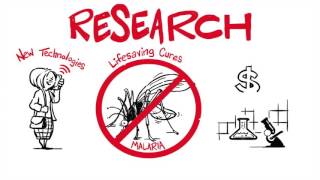 The Value of Basic Scientific Research