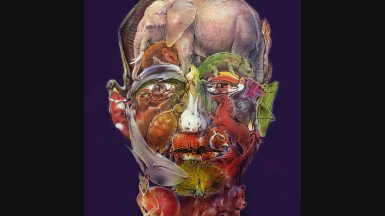 Найди верблюда на картинке болезнь альцгеймера. Верблюд болезнь альцгеймера. Тест на альцгеймер с верблюдом. Тест на болезнь альцгеймера верблюд. Найди вербдюда на картинк.