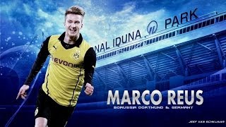 Marco Reus - We Can't Stop - Goals, Skills, Assists - 2014 HD