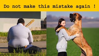 Don't Make This Mistake Again ! you need to know about your pet