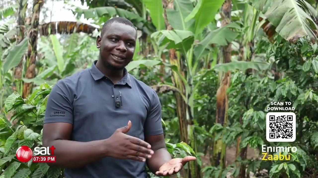 Emwanyi Bugagga: Manya engeri gy’ofunamu mu bulimi bwaayo | Ennimiro Zaabu