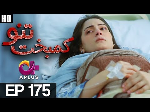 Kambakht Tanno — Episode 175