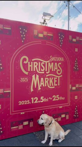 【静岡クリスマスマーケット2025】12月5日〜12月25日まで静岡市常磐公園にて開催!