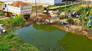 First Start New Perfect Project! COMPLETE100% Clear Small POND by Bulldozer Push, Dump Truck Unloadi