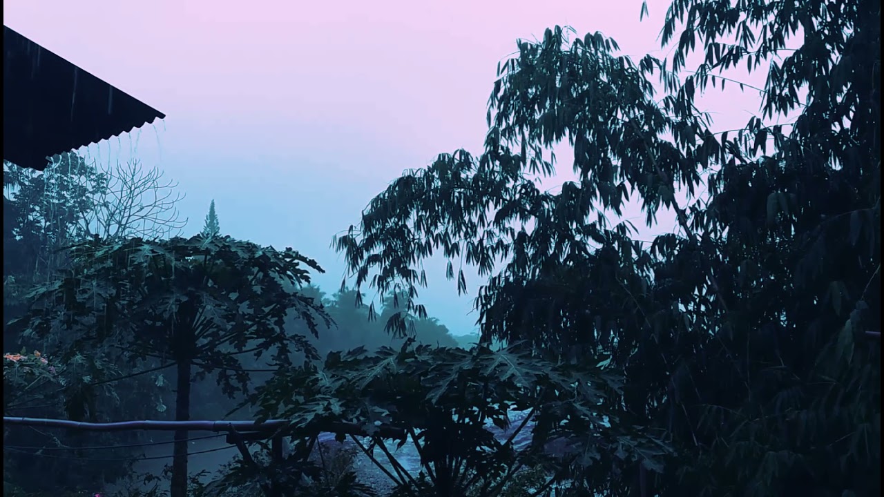 STORY WHATSAPP MIMPI YG HILANG||Saleem iklim||mengenang beliau