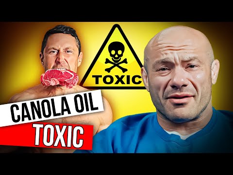 Can Eating Rancid Sunflower Seeds Make You Sick