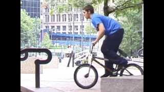 Animal 1- Vinnie Sammon