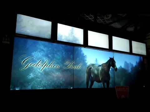 スタホ3(サイレンスシープ号⑫)【沈黙の羊】