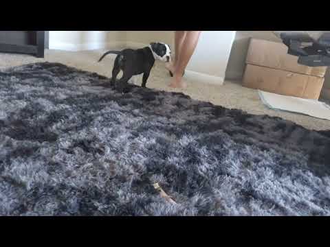 June 26, 2025 June 26, 2025