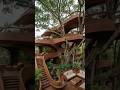 Tree house design #design #shorts #speedfonk