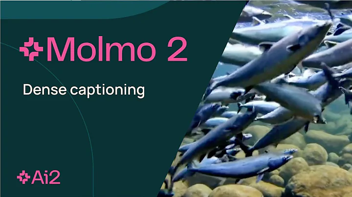 Molmo 2 | Dense Captioning
