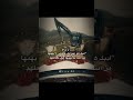 أدبك هو عنوانك فالناس لا يهمها من أنت بل يهمها كيف تعاملهم اقنباسات مؤثر عبارات مشاعر حب