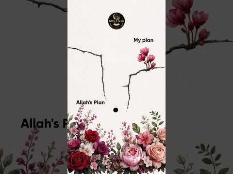 ALLAH's Plan vs My Plan | A Powerful Reminder 💯 #shorts
