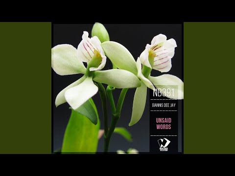 Unsaid Words Original Mix 