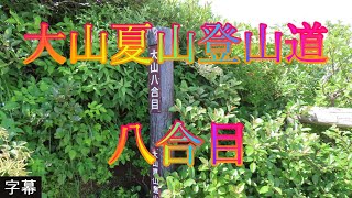 夏の大山登山 7月21日 金曜 晴れ 初夏 爽やかな日 大山夏山登山道 八合目 日本 鳥取県西伯郡大山町大山 博労座 @WalkingYoshi