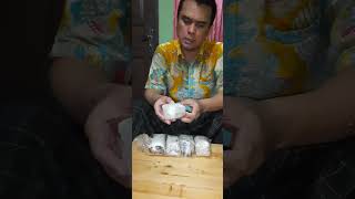 IKAN CUPANG ADUAN ORI SAKAI FIGHTER IMPORT THAILAND "GHOST FIGHTER!"