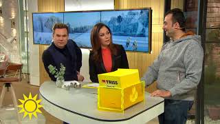 Dagens Trisskrapare Lite Guldkant - Nyhetsmorgon Tv4