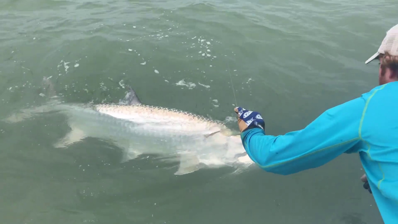 End of Tarpon Battle