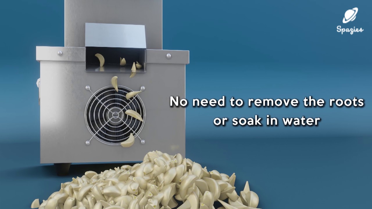 SPAZIES INTRODUCING GARLIC PEELER MACHINE เครื่องปอกกระเทียม commercial kitchen equipments