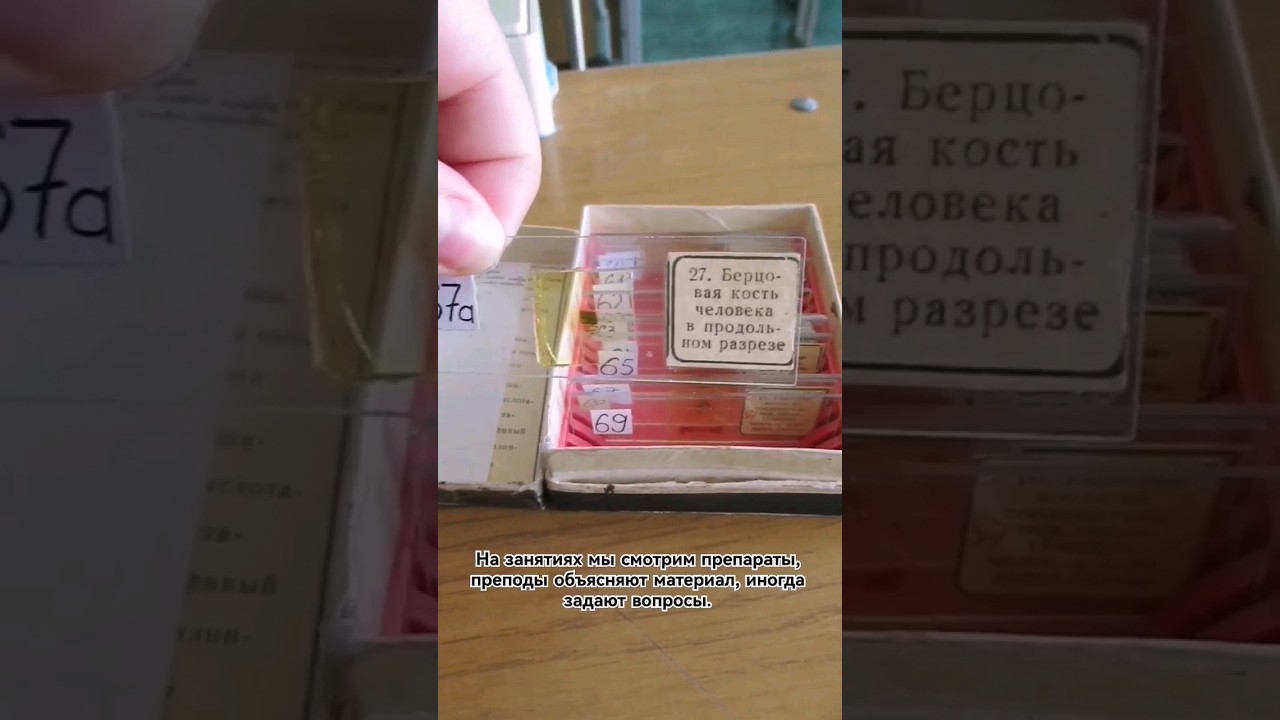 А вы боялись гисту? 🥴 #рниму #студент #гистология - YouTube