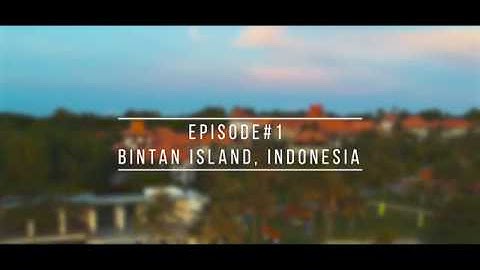 Bintan Island Aerial View | DJI Spark | Drone Footage