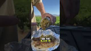 575 Big Jim Hatch Green Chile