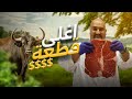 اسرار لا يعرفها العرب عن اللحوم عجل الانغوس الحلال 