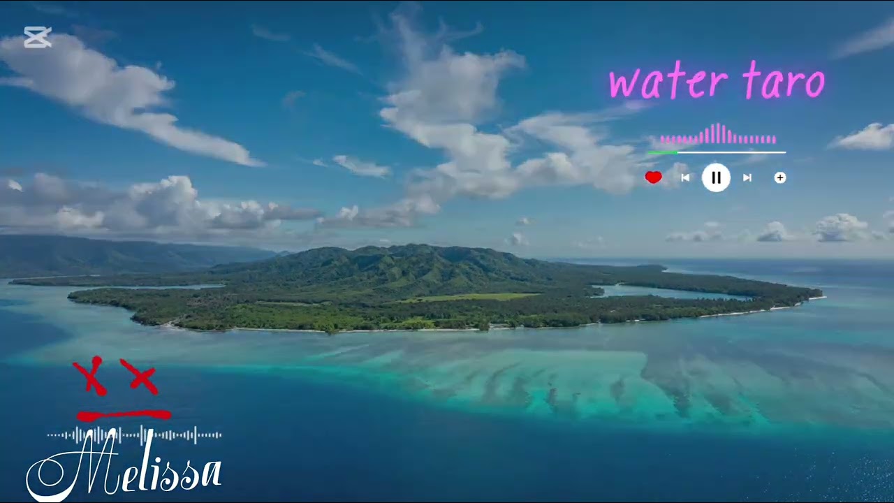 Melissa | wota taro [ New Music 2026] 🇻🇺. 