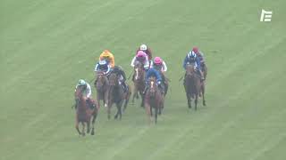 Vidéo de la course PMU DUKE OF CAMBRIDGE STAKES