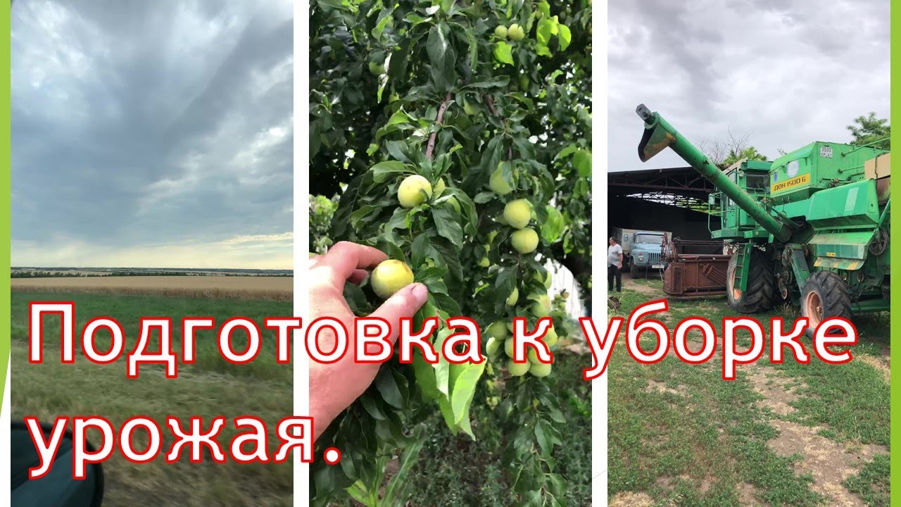 Подготовка к уборке урожая. - YouTube