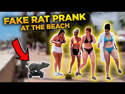 HILARIOUS RAT PRANK AT THE BEACH in SPAIN | THE BEST REACTIONS EVER | Kimoo Pranks