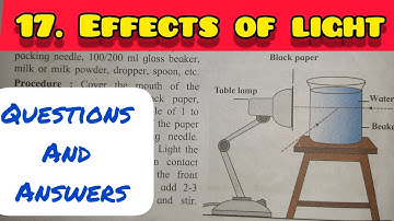 7th Std - Science - Chapter 17 Effects of light questions answers exercise - Maharashtra board