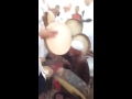 زير غميقه