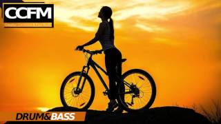 DRUM & BASS [ Creative Commons ] Electro Light - The Ways (Feat. Aloma Steele)