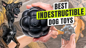 3 BEST Indestructible Dog Toys 2025