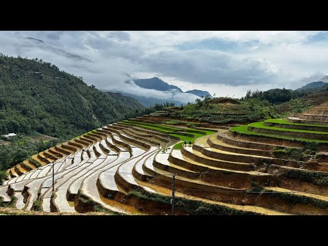 Video Hanoi Halong bay Sapa tour package reviews -... - youtube
