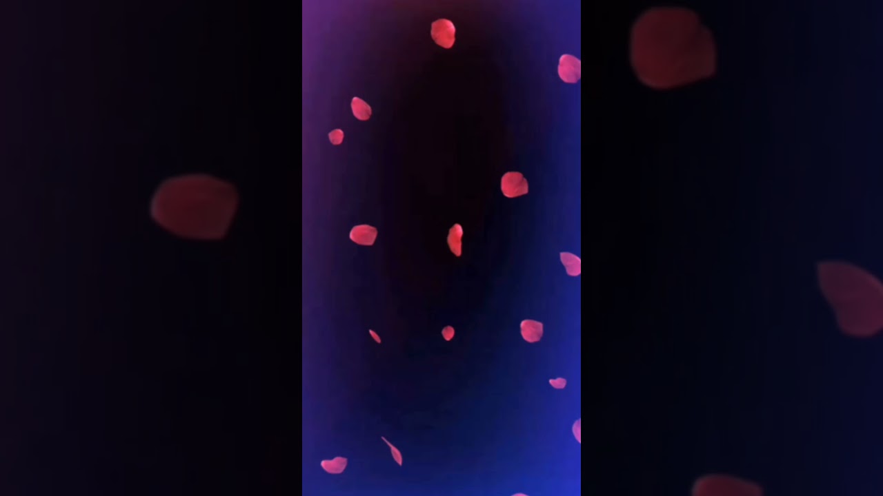 Template video background || after effects template video || 