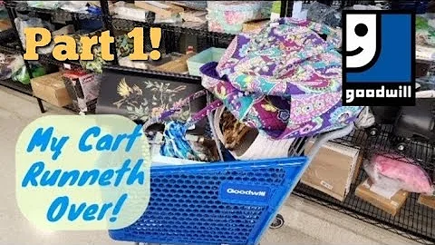 My Cart Runneth Over! - Ship Along With Me - Goodwill Thrift Store
