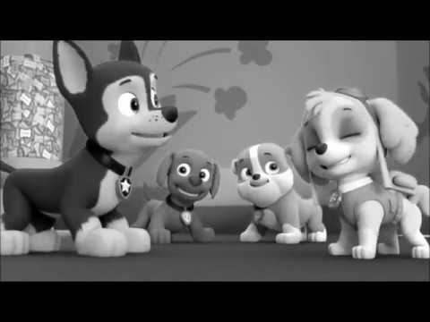 camera iphone 8 plus apk paw patrol what's a soulmate?
