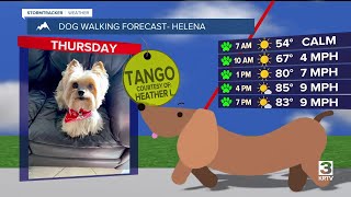 Dog-walking forecast (May 29, 2025)